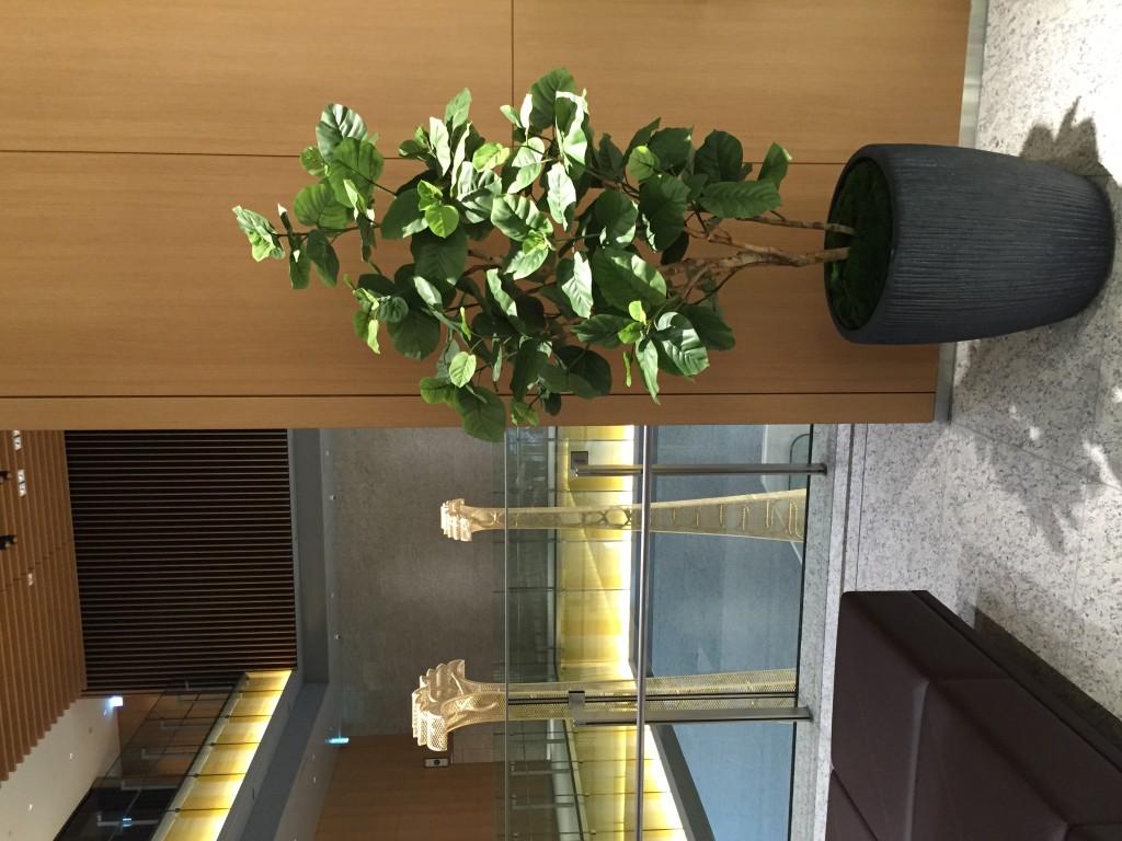 securedownload4XZS6IQ918