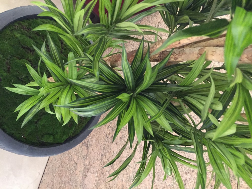 securedownloadUV4Q1JT5