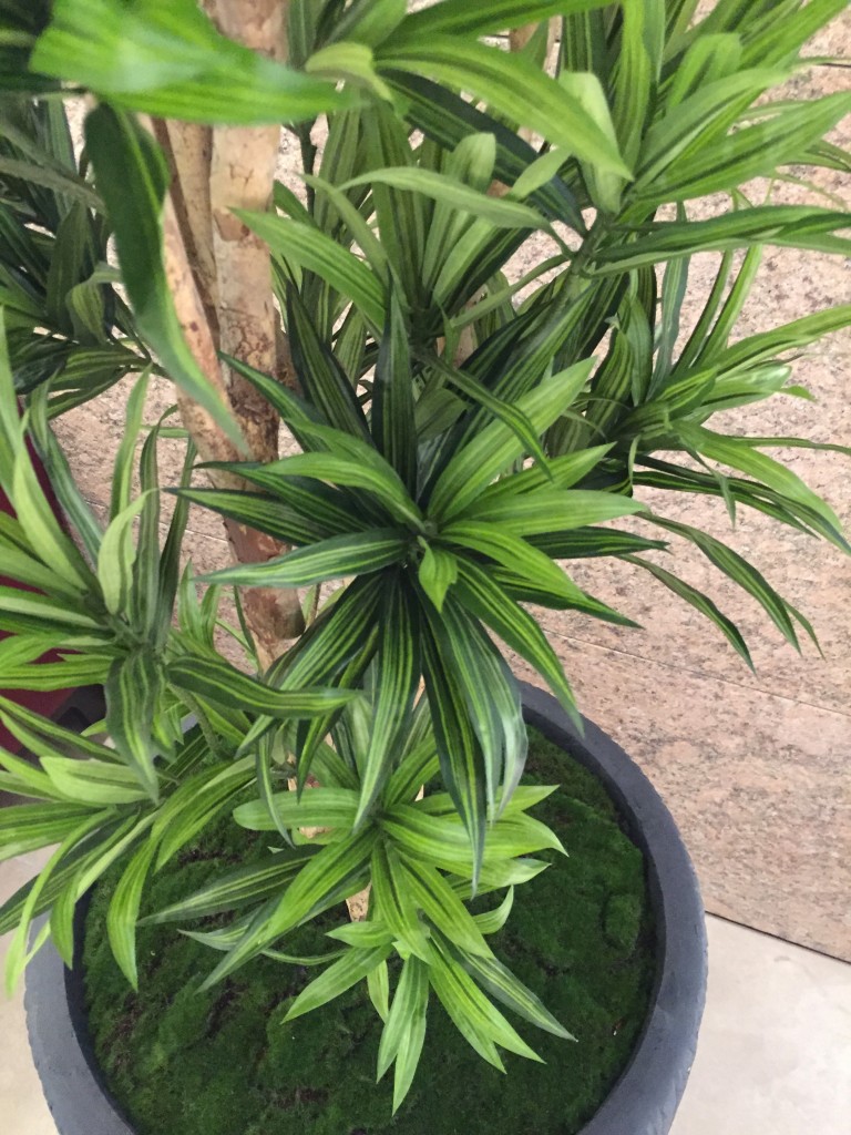 securedownloadUV4Q1JT5